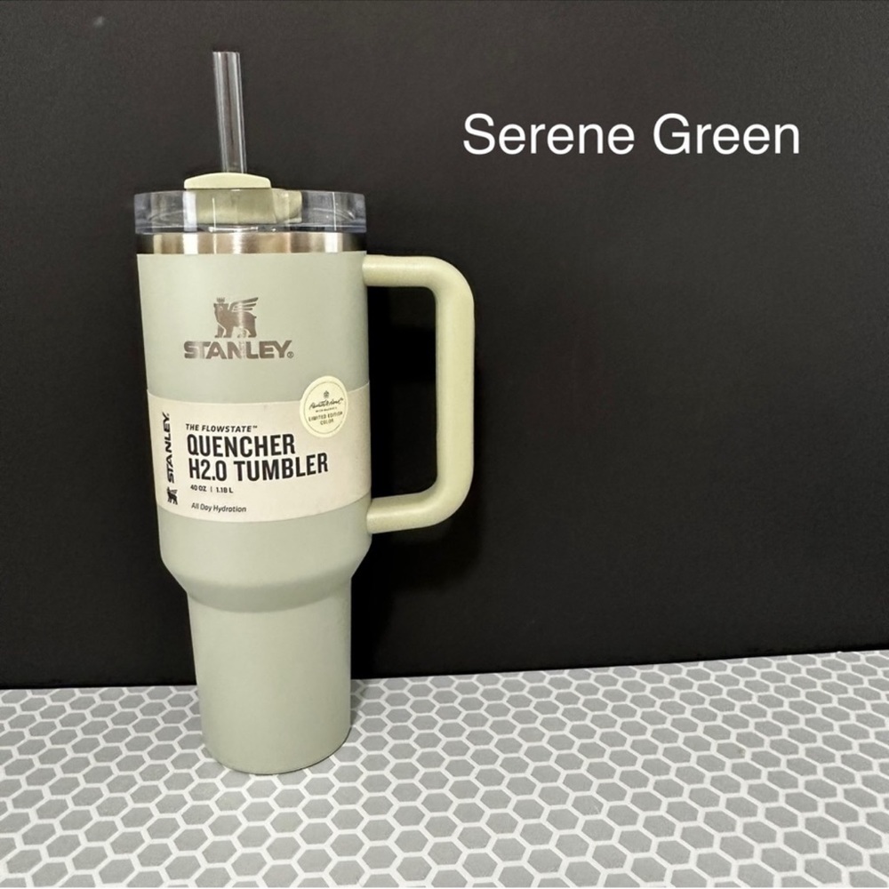 Stanley X Hearth & Hand with Magnolia 40 oz Quencher Tumbler in Serene Green